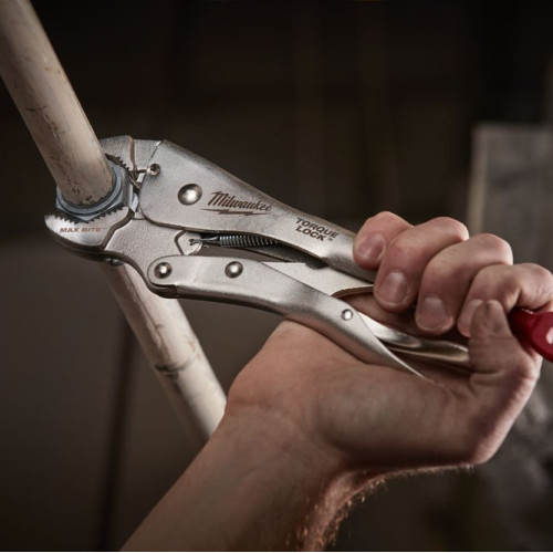 TORQUE LOCK MAXBITE ΣΚΥΛΑ ΚΑΜΠΥΛΩΤΗ